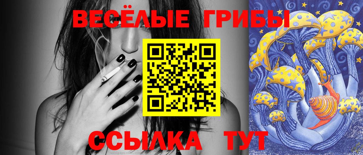 Псилоцибиновые грибы Psilocybe Валуйки